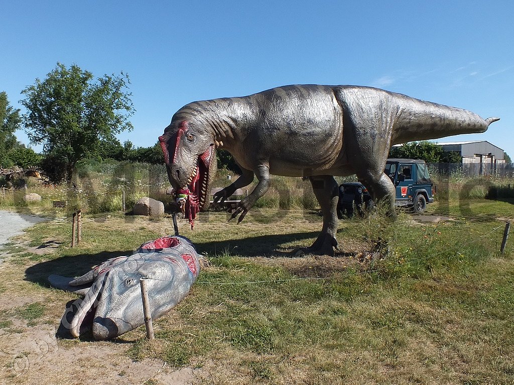 2019 - Juni - Dinopark-Moelschow-(Usedom)